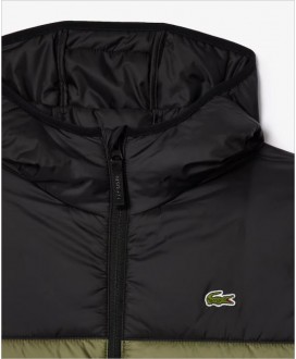 Chaqueta impermeable acolchada verde LACOSTE