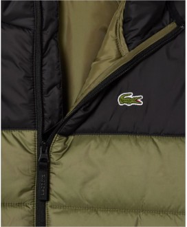 Chaqueta impermeable acolchada verde LACOSTE