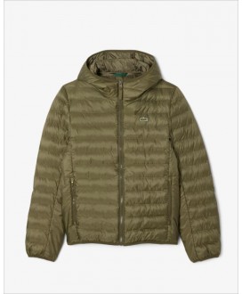 Plumífero verde capucha LACOSTE